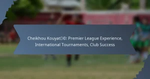 Cheikhou Kouyaté: Premier League Experience, International Tournaments, Club Success